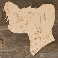 Dog Chinese Crested Head Main Image