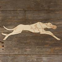 Dog Greyhound Racing Running Main Image