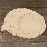 Dog Curled Up Mongrel Main Image