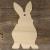 Image TH Rabbit Sitting Front Faceing Plain 