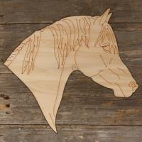 Horse Arabian Head Main Image