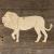 Image TH African Lion Walking