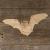 Image TH Horseshoe Bat