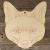 Image TH Fox Face Front On