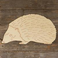 Hedgehog Walking Accurate Main Image