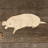 Mole Digging Side View Main Image