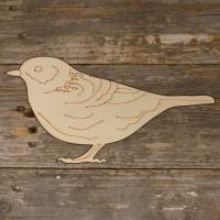 Dunnock Standing Main Image