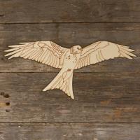 Soring Red Kite Main Image