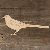 Magpie Perched Sideon Main Image