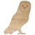 Main Image White No Hole Image Barn Owl Perching