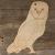 Image TH Barn Owl Perching