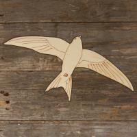 Swift Bird Soring in Flight Main Image