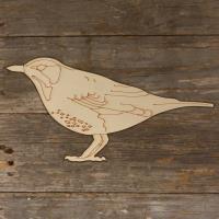 Thrush Bird Perched Main Image