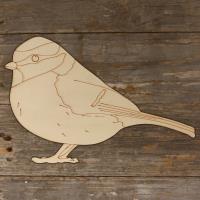 Blue Tit  Perched Main Image