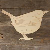 Wren Side On Pearching Main Image