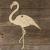Image TH Flamingo Greater Wading