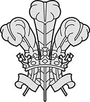 Heraldry Prince of Wales Feathers Modern Main Image