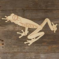 Frog Red Eyed Tree Main Image