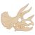 Main Image White No Hole Image Triceratops Skeleton Head