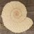 Ammonite Fossil
