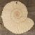 Image TH Ammonite Fossil