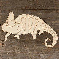 Veiled Chamaeon Climbing Main Image