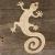 Image TH Gecko with a Curly Tail