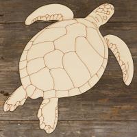 Green Sea Turtle Main Image