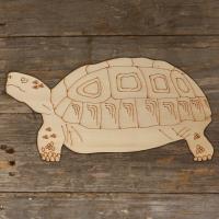 Tortoise Hermann Standing Main Image