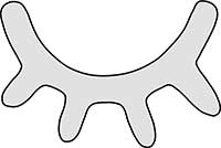 Anatomy Face Eyelash Comic Main Image