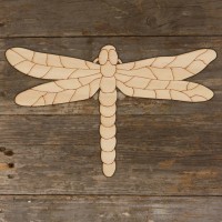 Dragonfly with Detail Style A Main Image