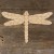 Dragonfly with Detail Style A