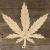 Image BH Cannabis Leaf Accurate Single