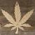 Image TH Cannabis Leaf Accurate Single