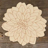 Dahlia Flower Head Main Image