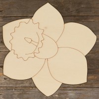 Daffodil Head Single Main Image