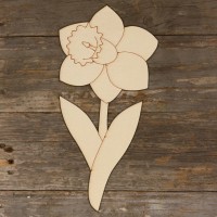 Daffodil Stem and Head Main Image