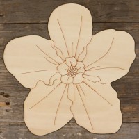 Forget Me Not Flower Head Main Image