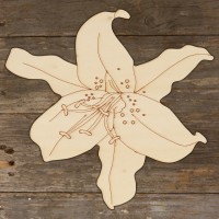 Lily Flower Head Acurate Main Image