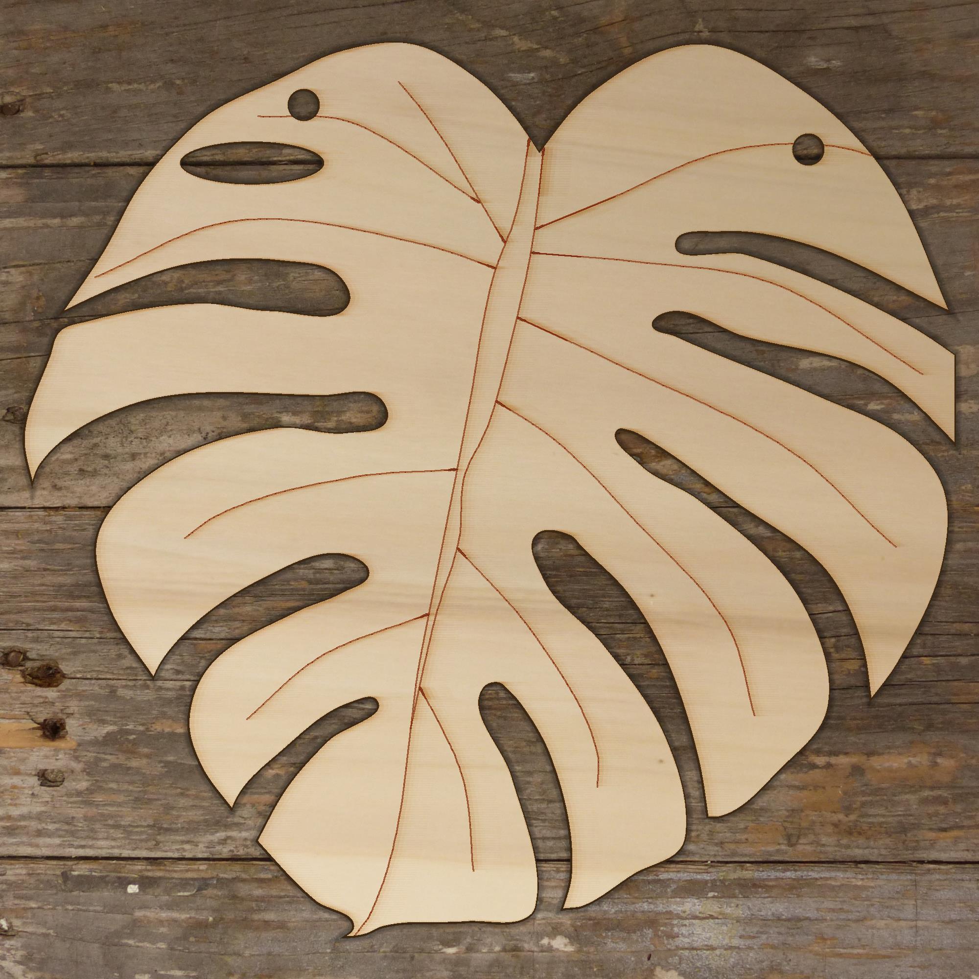 Image 2T Monstera Deliciosa Leaf