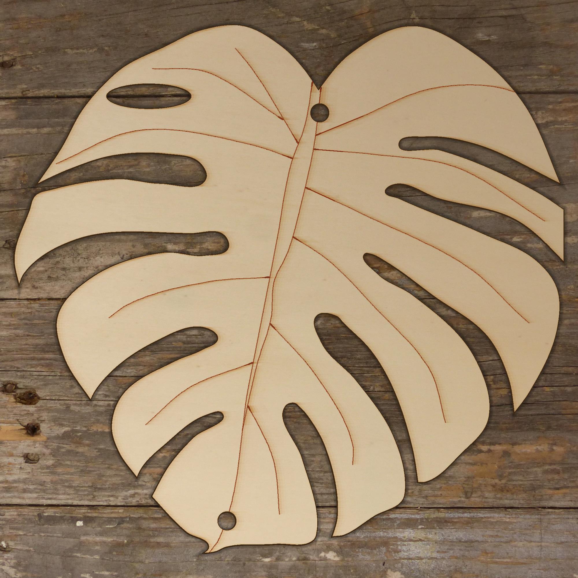 Image TB Monstera Deliciosa Leaf