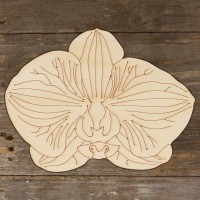 Orchid Flower Head Acurate Main Image