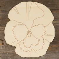 Pansy Flower Head Accurate Main Image