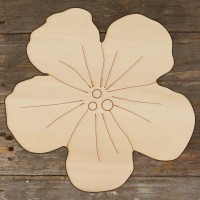 Poppy Flower Head Main Image