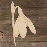 SnowDrop Flower Head Acurate Main Image