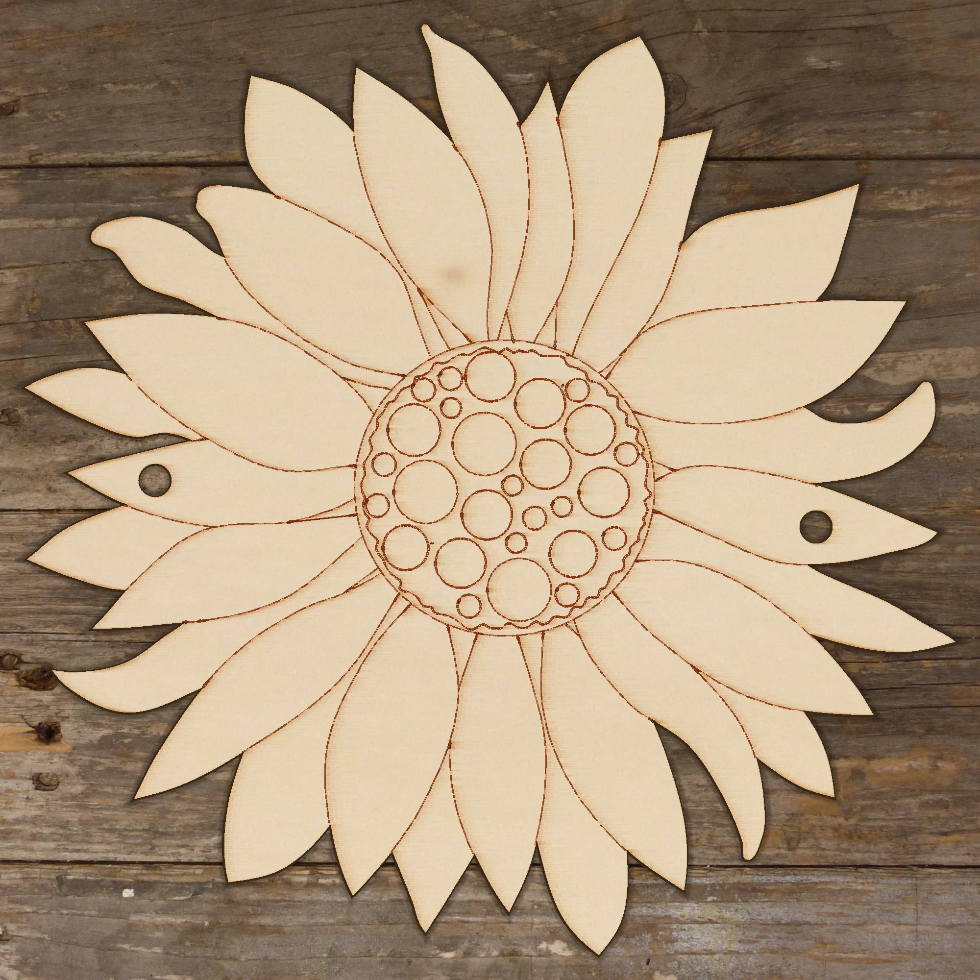 Image 2C Sunflower Head