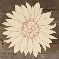 Sunflower Head Main Image