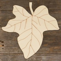  Ivy Simple Leaf Main Image