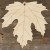 Image TH Maple Sycamore Leaf Acer Pseudoplatanus
