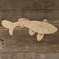 Koi Carp Swimming with Pattern Main Image